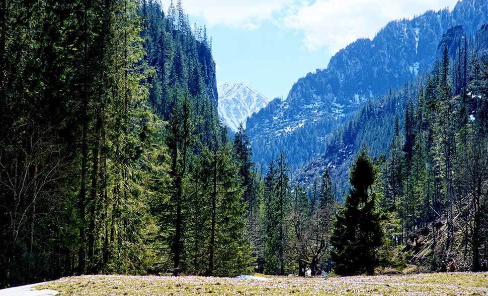 Widok na Dolinę Kościeliską